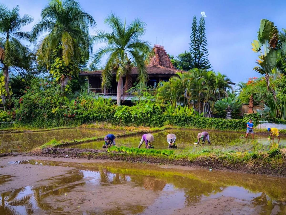 אובוד Ayu Dira Heritage House מראה חיצוני תמונה