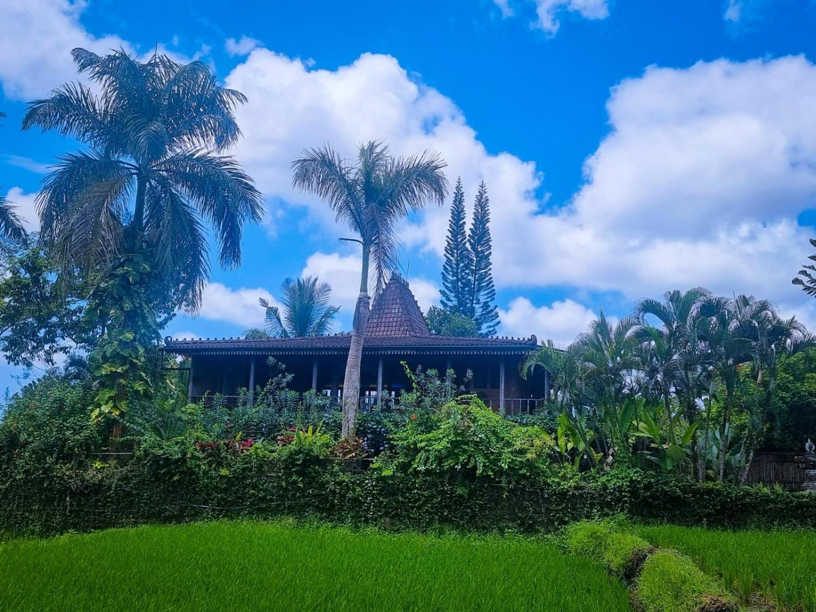 אובוד Ayu Dira Heritage House מראה חיצוני תמונה